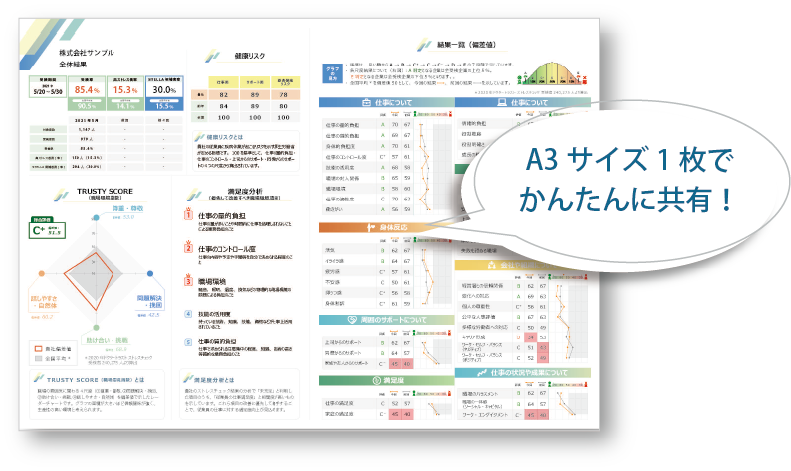 ドクタートラスト集団分析結果　会社シート