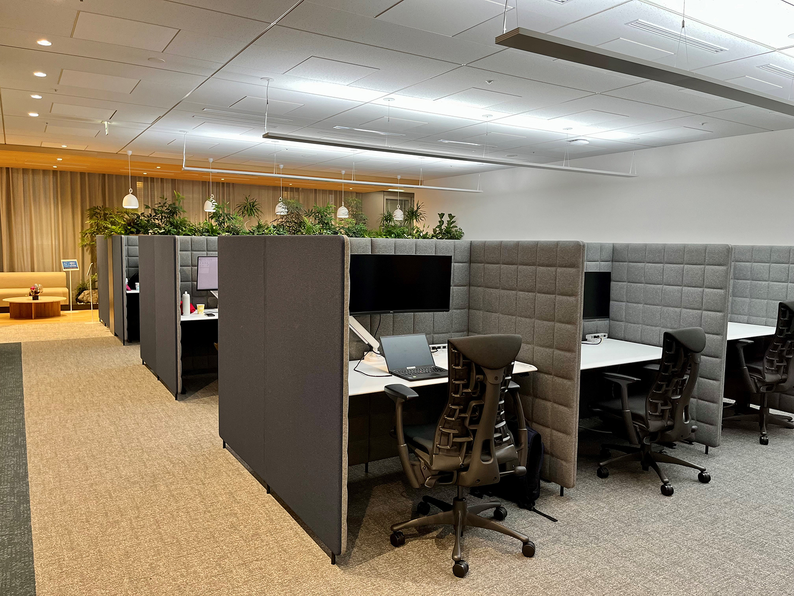 ノボ ノルディスク ファーマ